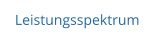 Leistungsspektrum