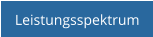 Leistungsspektrum
